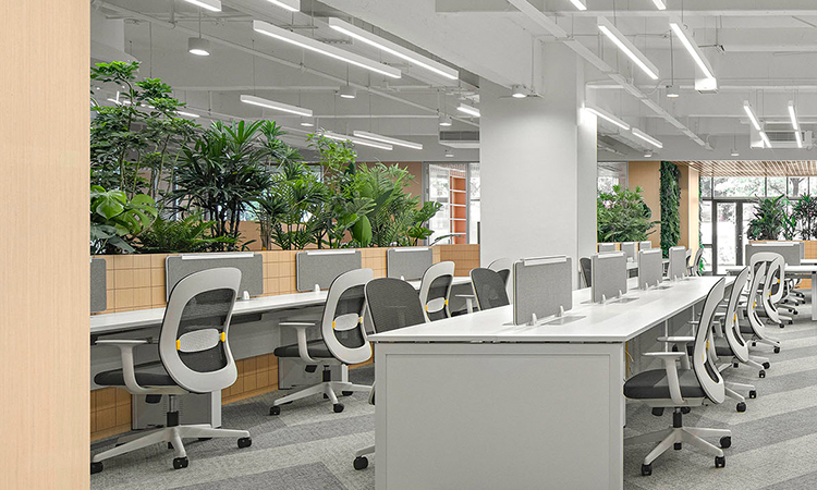 辦公室綠化景觀裝修設(shè)計的效果和好處