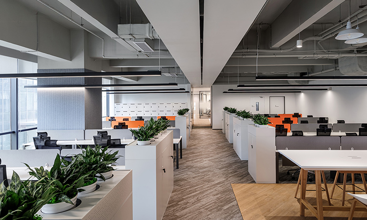 生物醫(yī)藥公司辦公室 生物醫(yī)藥公司辦公室